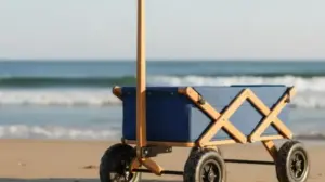 Wózek Na Plażę Dla Dzieci wozek na plaże dla dzieci